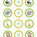 Set of 12 Jungle/Safari The..