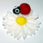 12 Fondant Ladybug /Daisy C..